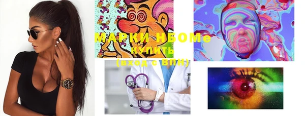 индика Бикин