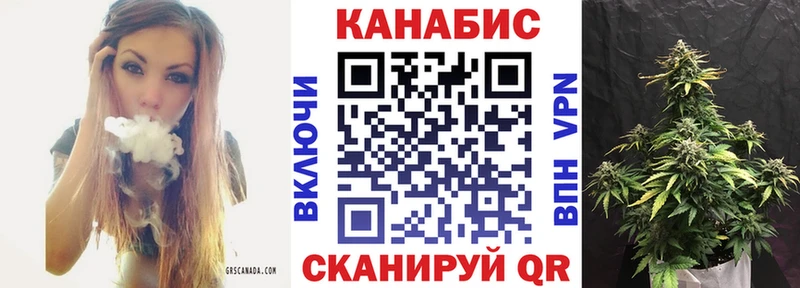 где можно купить наркотик  маркетплейс состав  Шишки марихуана Ganja  Болотное 